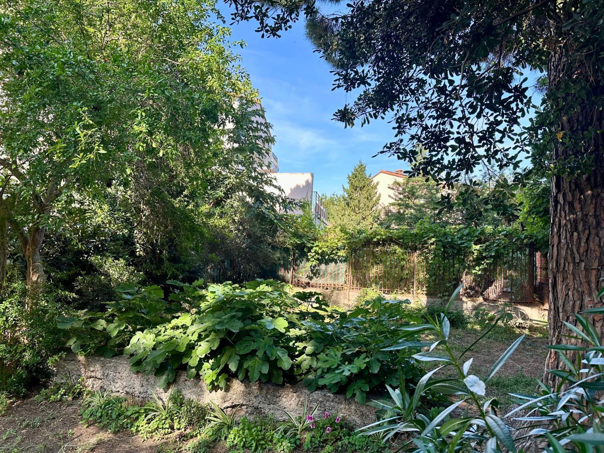 Appartement Avec Jardin Prive A 2Min De La Plage Banyuls-sur-Mer Buitenkant foto
